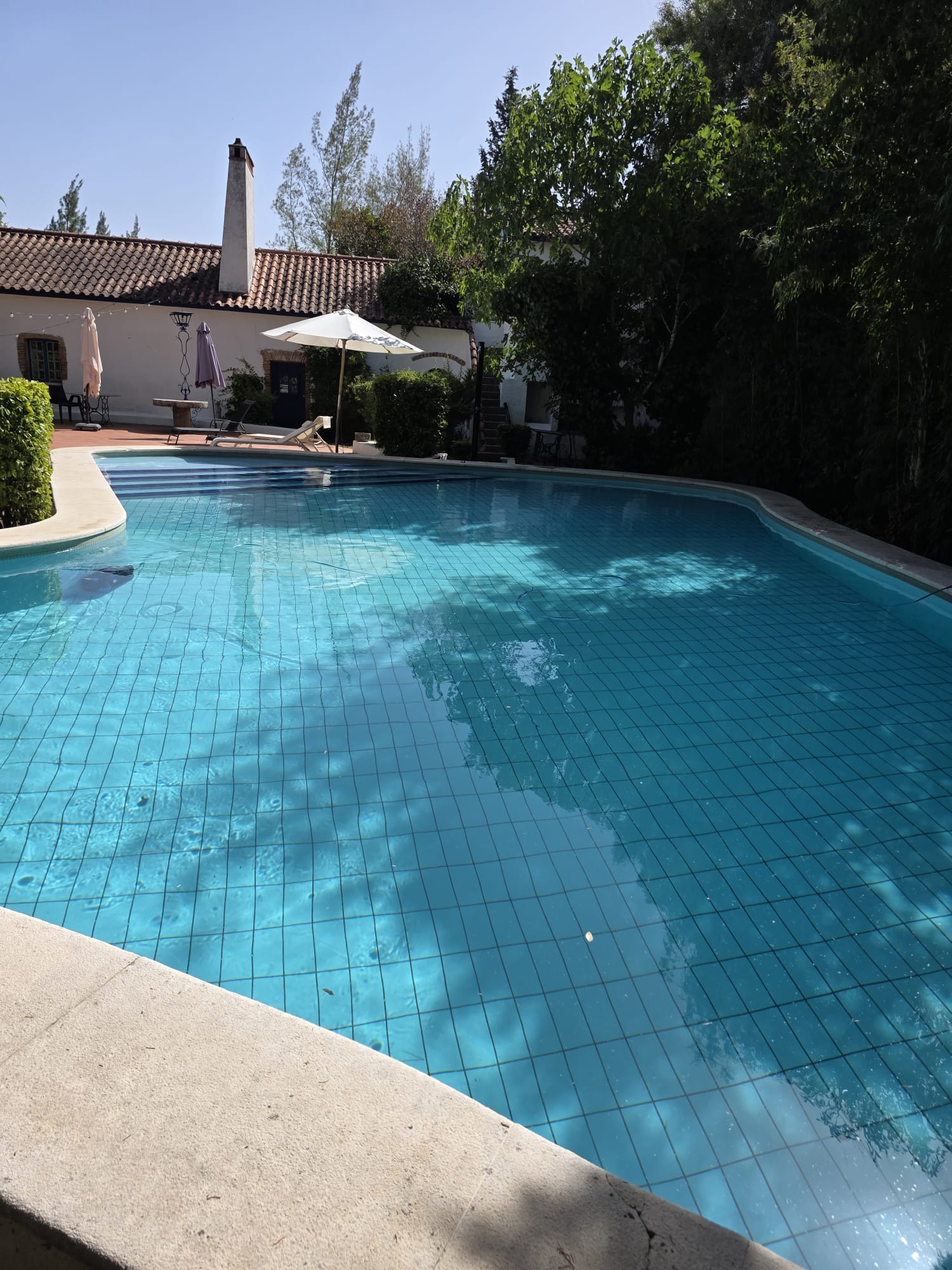 Piscina com água cristalina